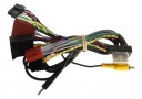 Fiat Plug & Play harness for Maestro